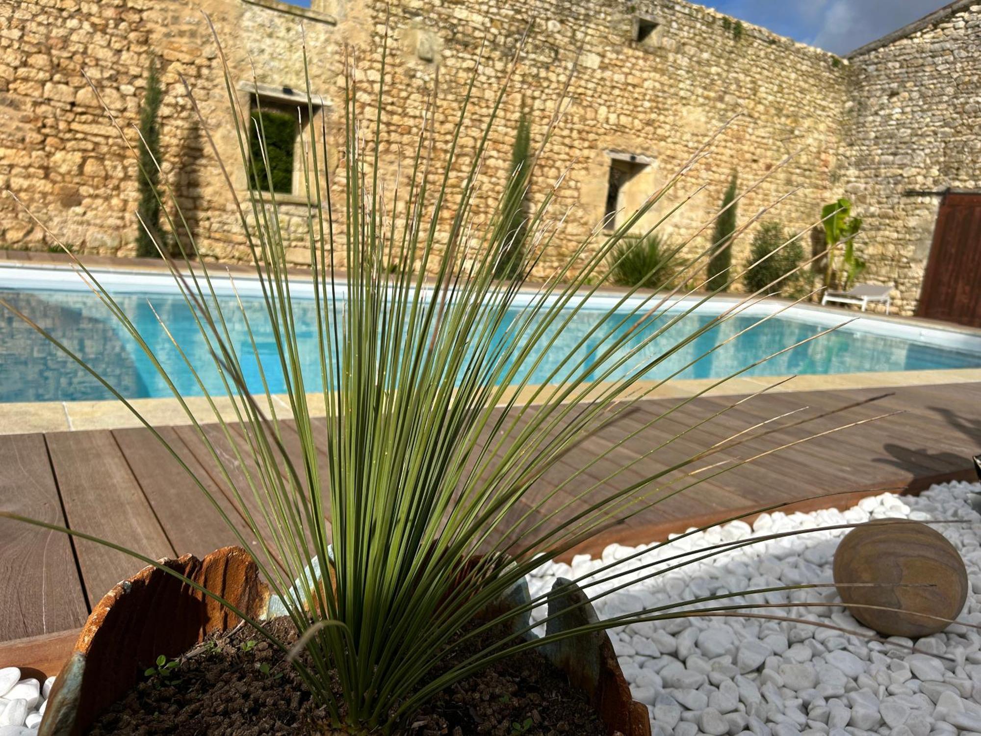 Domaine De La Gemoliere Bed & Breakfast Gemozac Luaran gambar